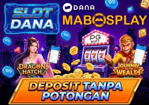 Slot Dana